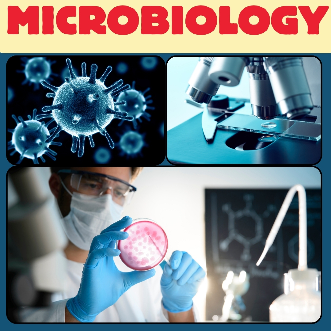 INTRODUCTION TO MICROBIOLOGY: